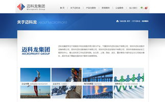 邁科龍官方網站設計制作 成功案例 沙漠風網站建設公司