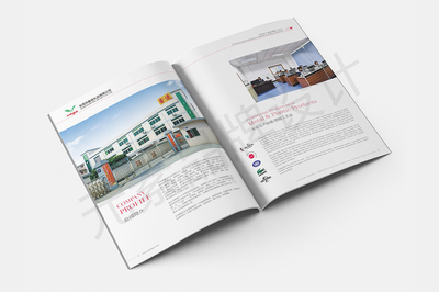 東莞一站式視覺營銷服務 畫冊設計、LOGO設計、網站建設與宣傳片拍攝制作全解析