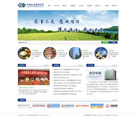 企業(yè)展示型響應(yīng)式網(wǎng)站建設(shè)指南 專業(yè)設(shè)計與高效制作